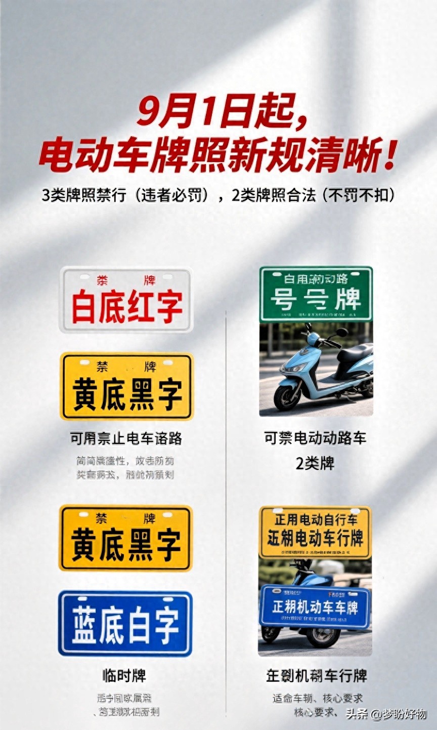 非標(biāo)牌照禁行處罰_電動(dòng)車牌照新規(guī)2025_限行