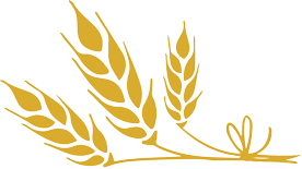 禁行_禁行標(biāo)志牌_禁行扣幾分罰款多少