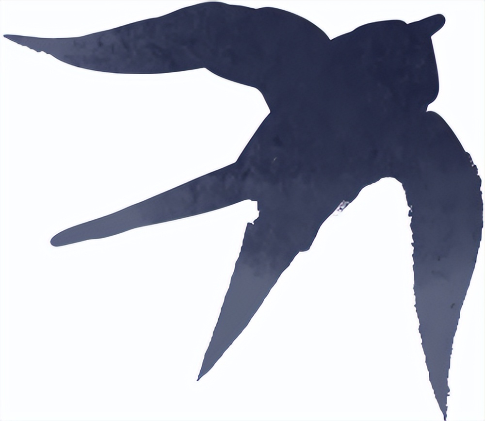 出行提示_雨霧天氣駕駛技巧_秋季雨霧行車安全