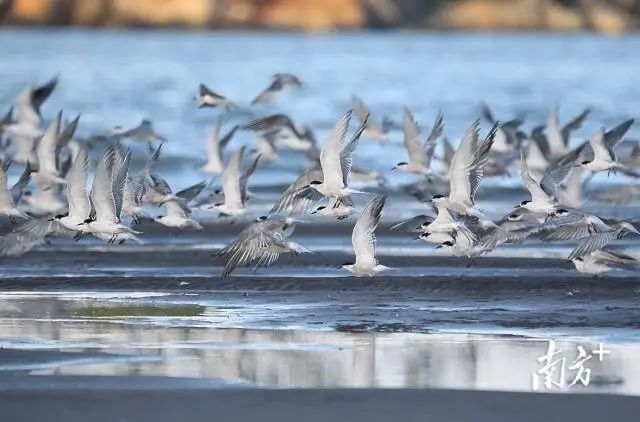 中山臺風預報_禁行_中山黑煙車禁行罰款