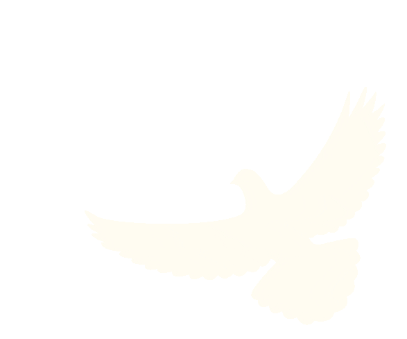 定安國(guó)慶中秋道路交通安全提示_出行提示_定安2025國(guó)慶中秋出行安全攻略